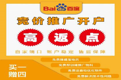 解析SEM推广代运营的优化技巧与策略